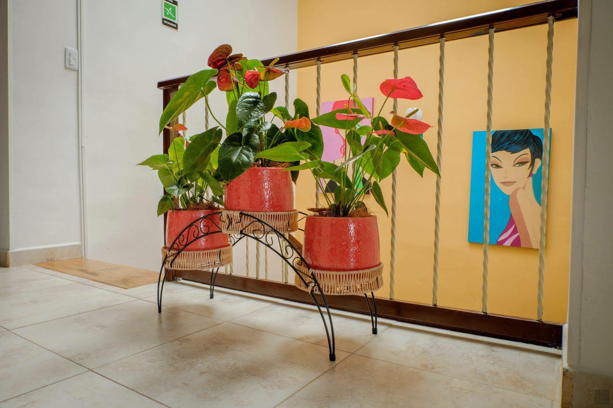 Casa Borbon Hotel Salento Ngoại thất bức ảnh